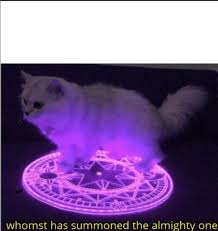 b1zbe10zzkflmxxrjg2nmr4c