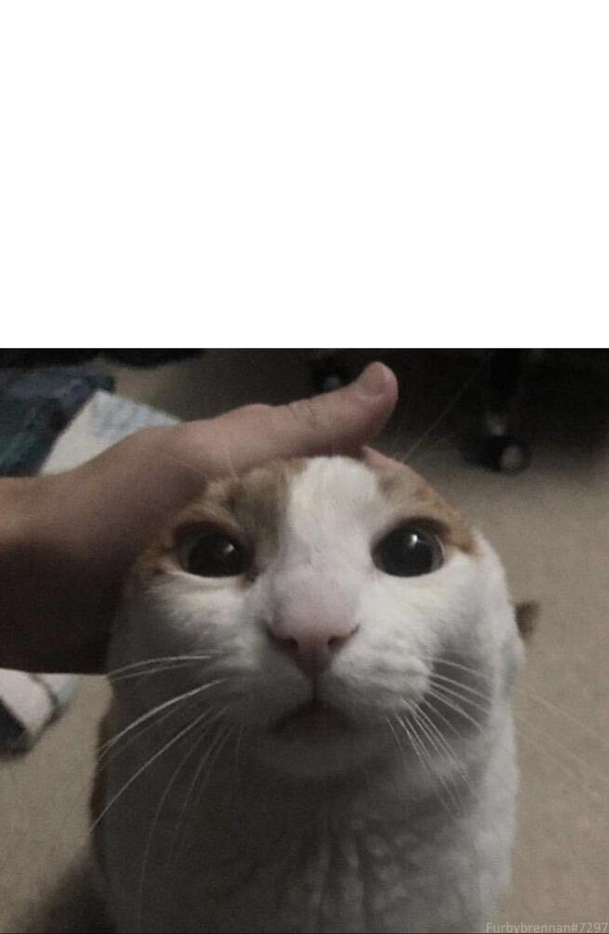 ba4nvj9fssqrsgdv261s403w