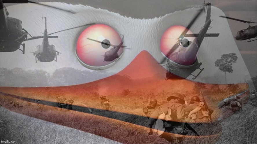 faklaqybrtf6ppqbyfsdsg5y