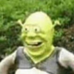 ii5otlezwsydvktuaeufzta2