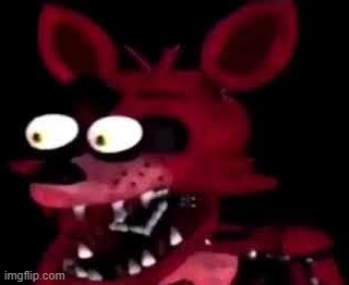 k24vloqq72g1fsjnfia3kbwi