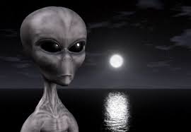 kh43ytt6skdotzvxzs0iaqjz