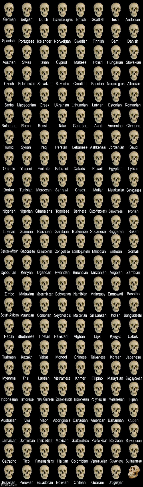 lfn4vml38euex2b8n4z23mjf