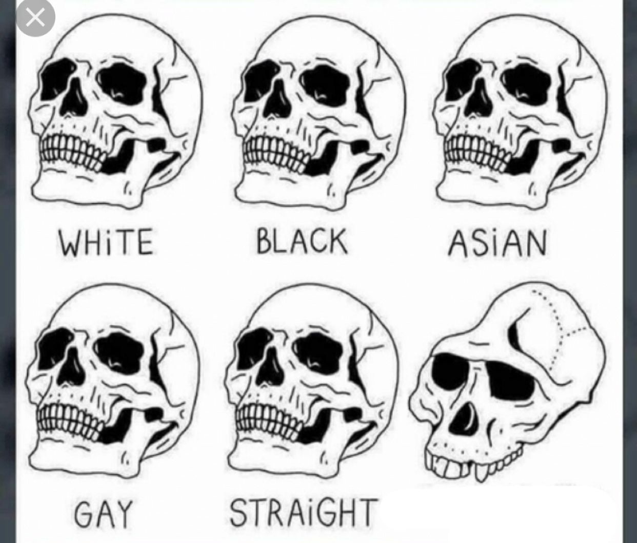 me97y93jtnfw1v9ymy2ca8l6