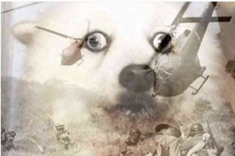 oaa9s9fncudv095x729kj138