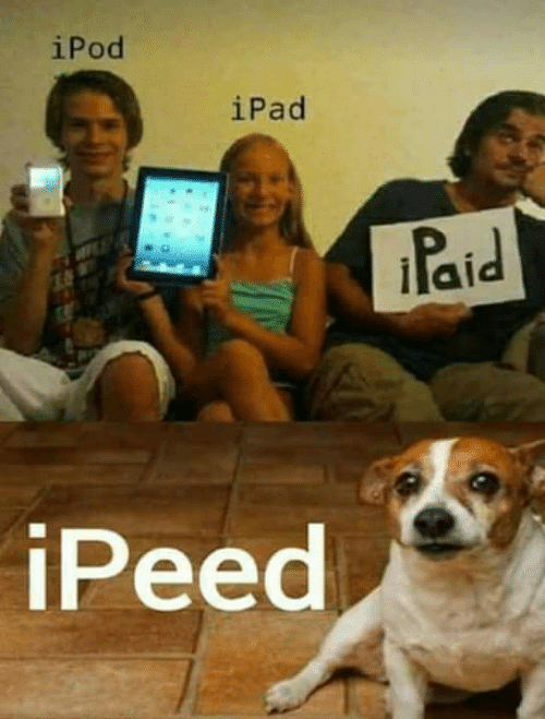 p3ng9f9qyefs4ieyggltbs0v