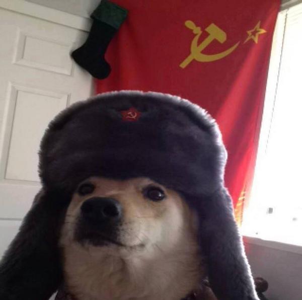qbr5zkjkdhq3e99i1pjhnq90