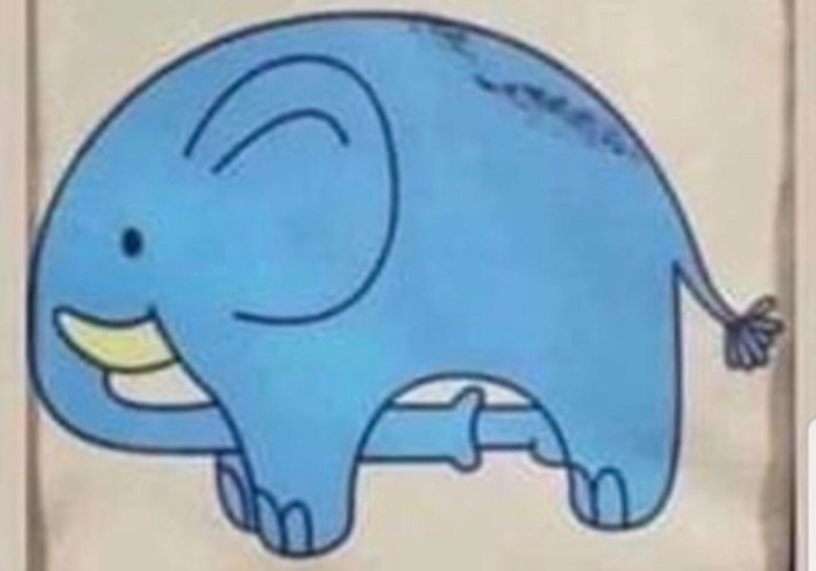 Elephant sucking itself