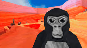swg2n01drtjeomdgm0eti8rp