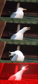 wfl7zwjioiadkkxzvfv3zgfo