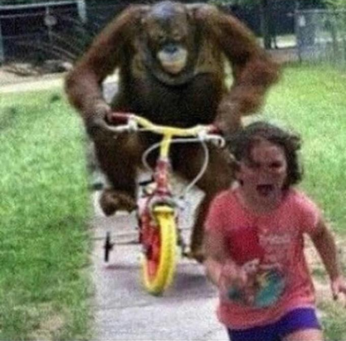 wtzfy2vnxhsqywlj3n2mdmff